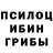 Псилоцибиновые грибы MAGIC MUSHROOMS Kirill Bugreev