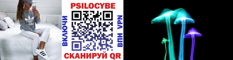 даркнет сайт  Буй  Псилоцибиновые грибы Cubensis 